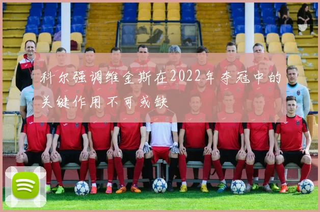 科尔强调维金斯在2022年夺冠中的关键作用不可或缺