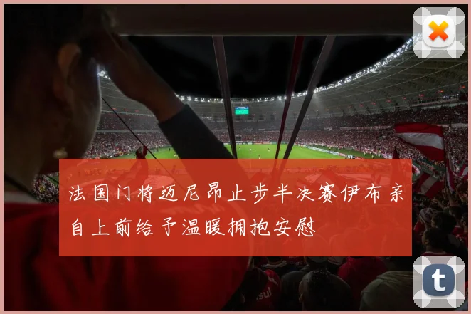 法国门将迈尼昂止步半决赛伊布亲自上前给予温暖拥抱安慰