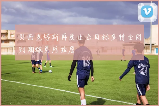 贝西克塔斯再度出击目标多特合同到期球员厄兹詹