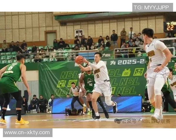 NBL今日战报：石家庄翔蓝险胜山东蜜獾张家口体文旅遭长沙勇胜逆转